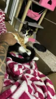 Kiara