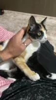 Kiara