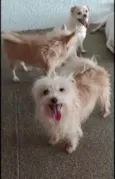 Marley