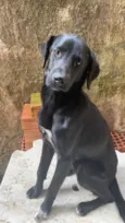 Marley