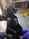 Marley