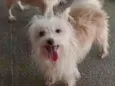 Marley