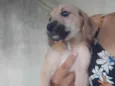 Sem nome