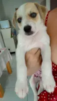 Kedna