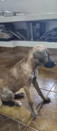 Kira