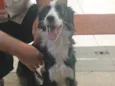 Bob