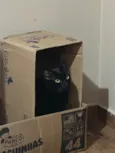 Lucky