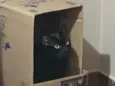 Lucky