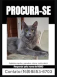 Remo