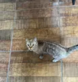Maggie