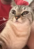 Maggie