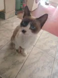 Mel