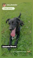 Bruce