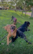 Bruce, Hermes, Eva