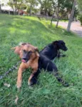 Bruce, Hermes, Eva