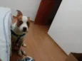 Luck