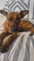 Zita