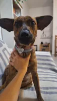 Zita