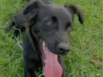 Bruce 