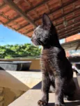 Bruce