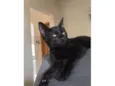 Bruce