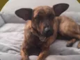 Zita