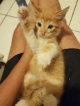 Fred
