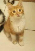 Fred