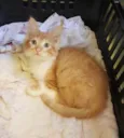 Fred