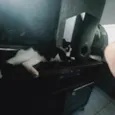 Mel