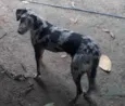 Ñ tem nome