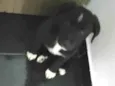 Maggie