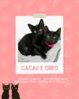 Cacau e Oreo