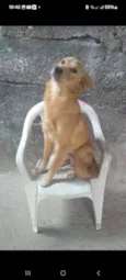 Duke