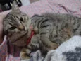 Yuki