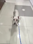 não tem