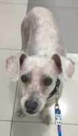 não tem