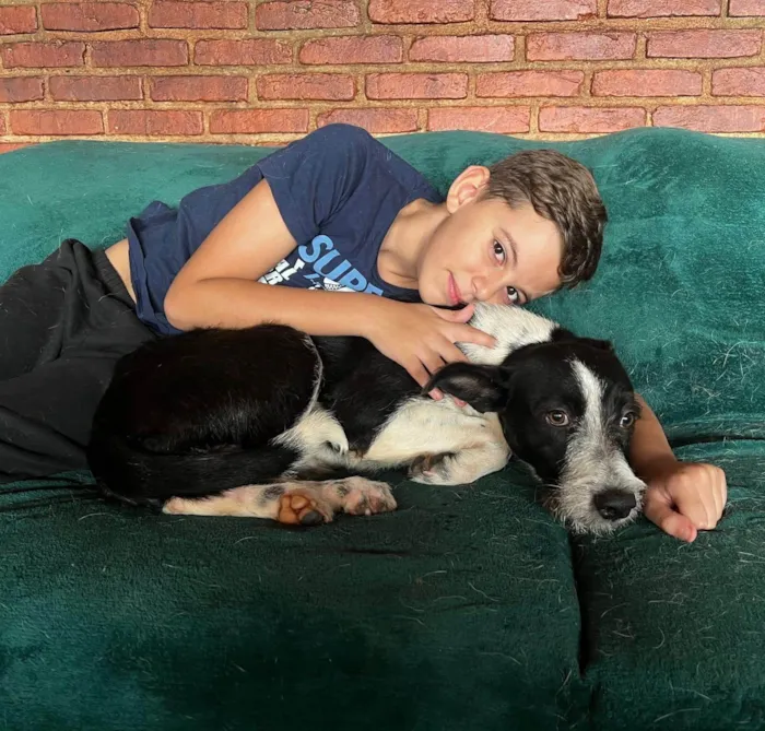 Cachorro ra a SRD-ViraLata idade 2 anos nome Valentin 