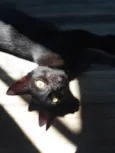 Salem