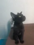 Salem