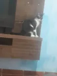 nâo tem nome