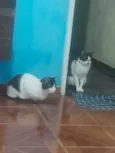 nao tem nome