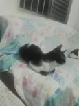 nao tem nome