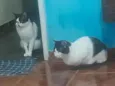 nâo tem nome