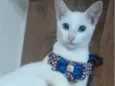 Nick
