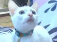 Lilah