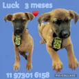 Luck