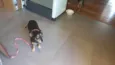 LILA