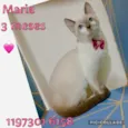 Marie