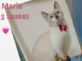 Marie